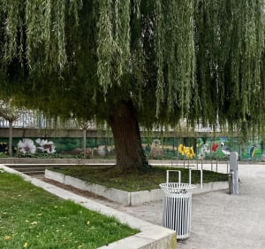 Le long du canal vers le nord depuis Bois-Blancs - Julien - 3