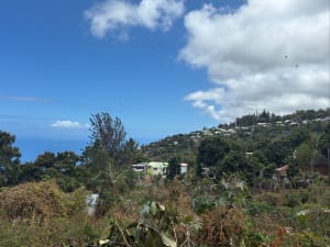 Montée du sentier des boîtes aux lettres, jusqu'au décollage Parapente - MARECHAL  - 6