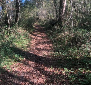 Boucle de Gurs, camp de Gurs - Fabienne - 3