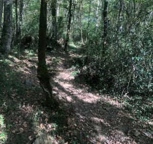 Boucle de Gurs, camp de Gurs - Fabienne - 5