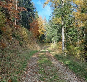 Marais de La Praille et Plateau d'Hauteville - magali - 2