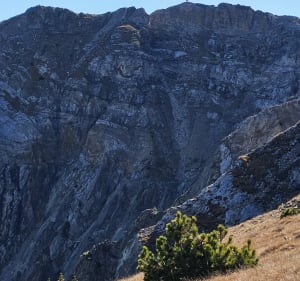 Cambre  d Aze - Severine - 2