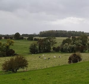 Balade champêtre. - Decathlon - 5