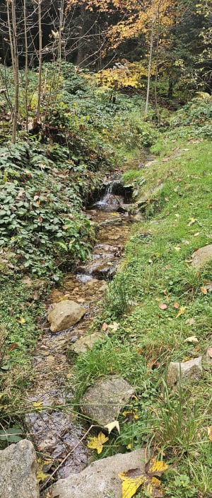 Bois de Tournon et Grand Bois depuis Le Bessat - Marie Clothilde - 2