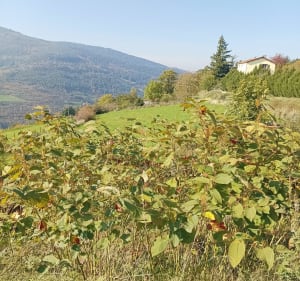 La montée de la Valla en Gier à Saint-Étienne - gisele - 2