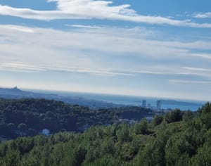 Ch&acirc;teau-Gombert et go&ucirc;t exquis d'arri&egrave;re-pays proven&ccedil;al - &copy; V&eacute;ronique