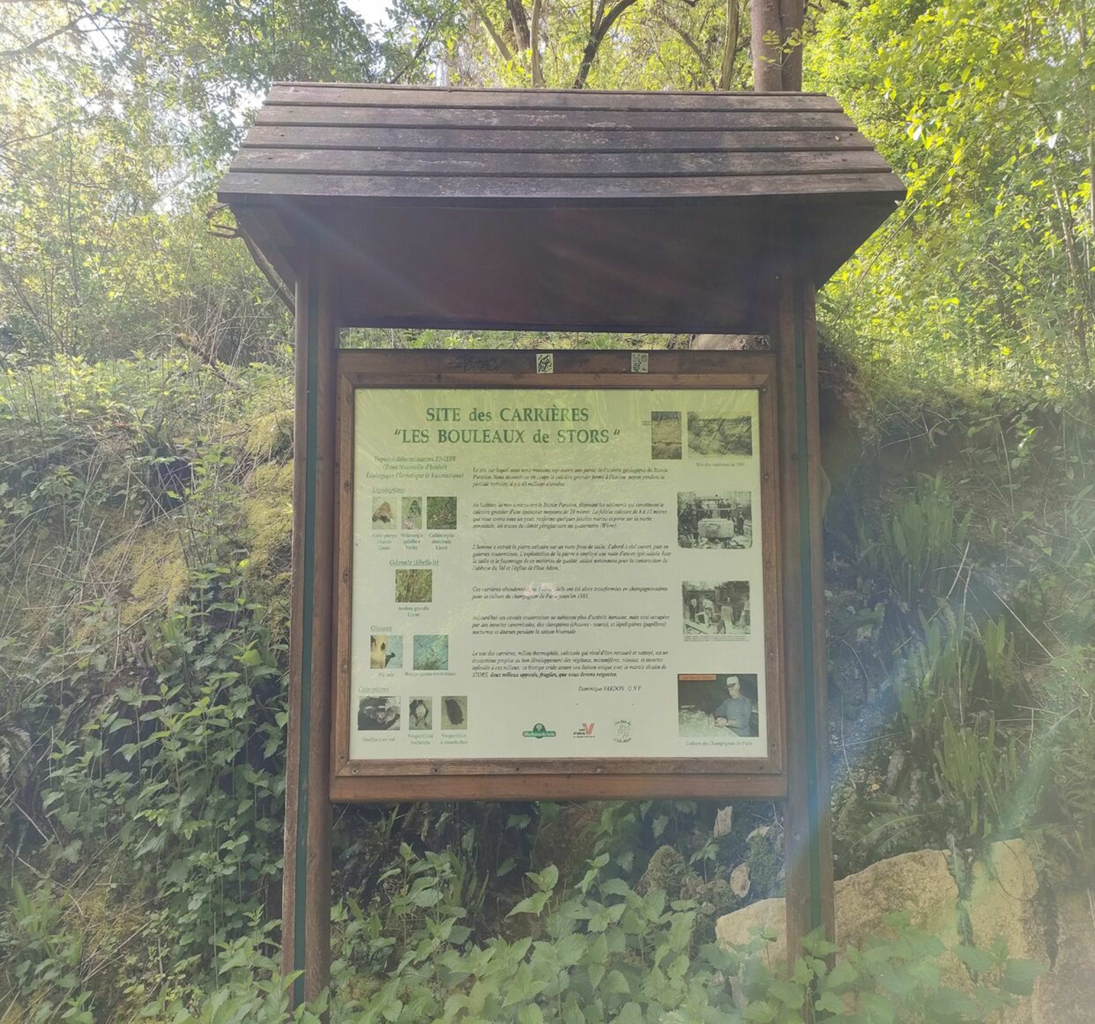 Forêt de L'Isle-Adam - L'Isle-Adam - 1