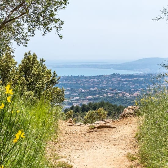 Randonnée à Nice : vue sur Nice depuis le mont Chauve