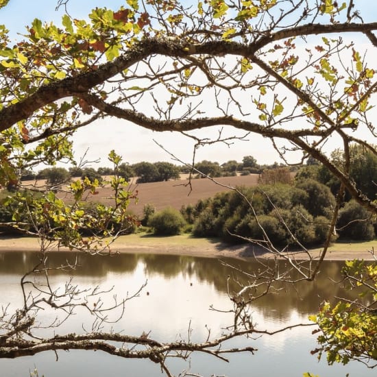 Randonnée au lac du Jaunay : vue sur le lac derrière les feuillages