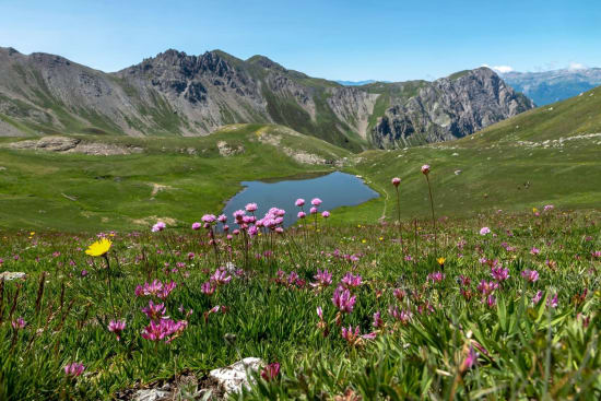 Randonnée Queyras : étendue fleurie et verdoyante, lac et montagnes