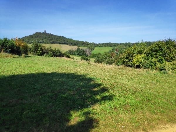 Stenen pad in Saint Didier au Mont-d'Or - Saint-Didier-Mont-D'Or - 1