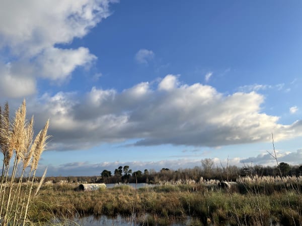 Aux portes du Médoc : étonnant tour de Parempuyre - Parempuyre - 1