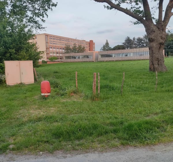 En route au lycée nature - La Roche-sur-Yon - 1