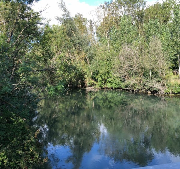 Balade en plaine de Sauvage - Annie - 1