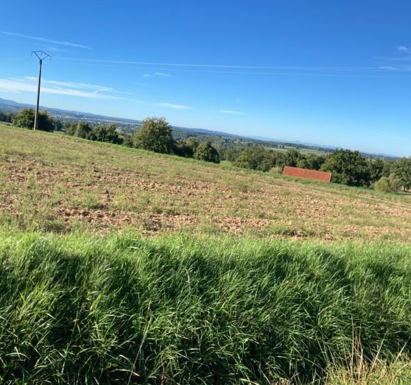 En pleine campagne… - Lapalisse - 1