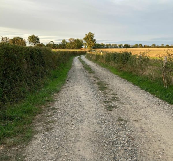 La campagne Champtocéenne - Champtocé-sur-Loire - 1