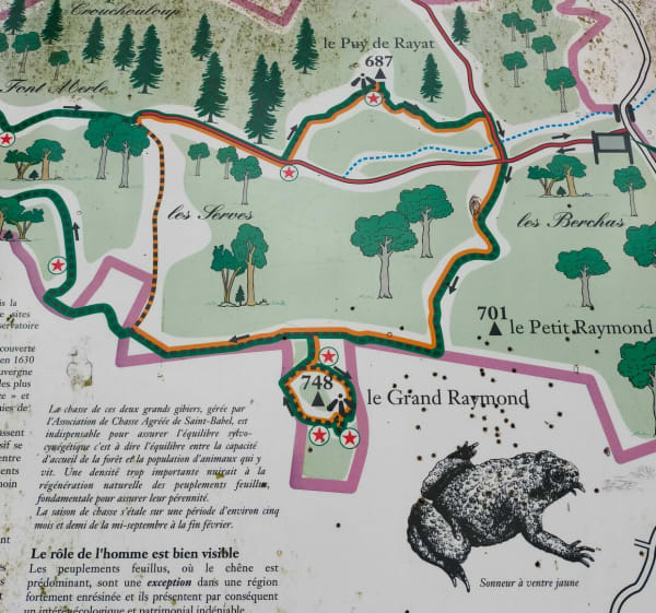 Foret de Saint Babel - Saint-Babel - 1