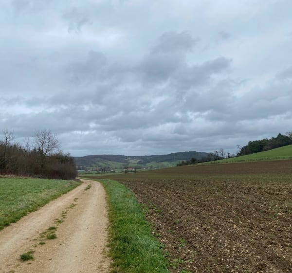 Grande balade entre Orges, Marmesse et Chateauvillain - Orges - 1