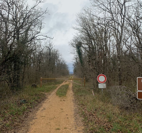 Centre équestre en Forêt de Saussy - Saussy - 1