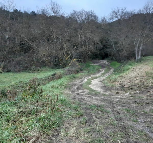 Sortie autour de Saint-Privat et le rocher des Fées - Saint-Privat-des-Vieux - 1
