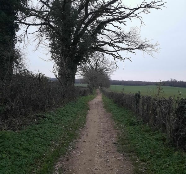 Sortie entre parcours de santé, champs et bois de Freminville - Charvieu-Chavagneux - 1