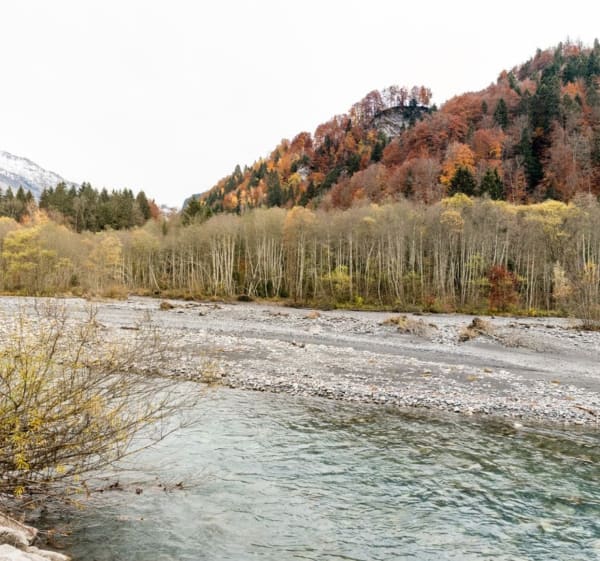 Boscircuit bij Lac des Vernays - La Rivière-Enverse - 1
