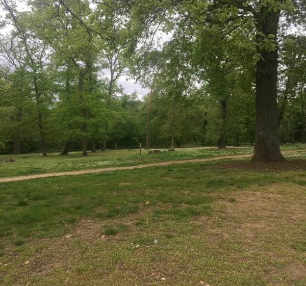 Balade facile en forêt de Saint-Germain-en-Laye au Chène Feuillu à Vélo - Saint-Germain-en-Laye - 1