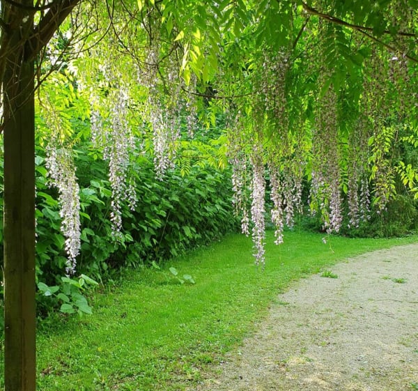 Autour du parc floral de Mansle - Maine-de-Boixe - 1