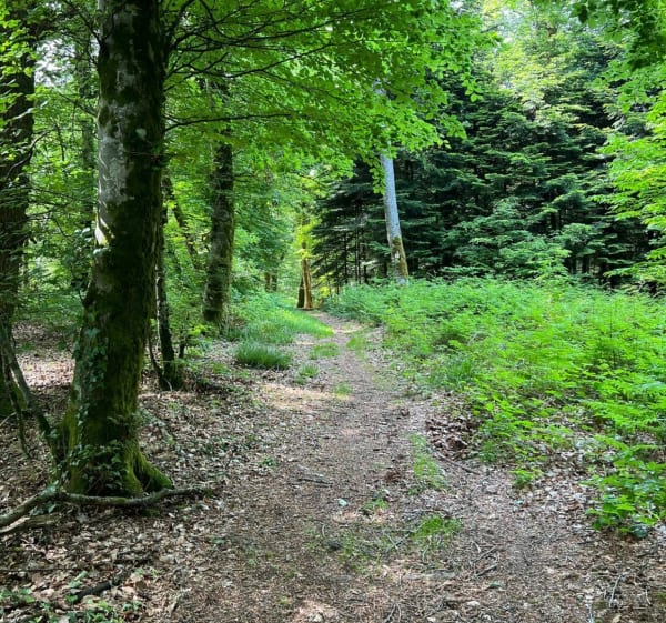 Balade en vélo dans la Serre - Moissey - 1