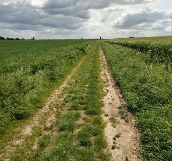 Sortie Gravel 30 km à Valenciennes - Aulnoy-Lez-Valenciennes - 1