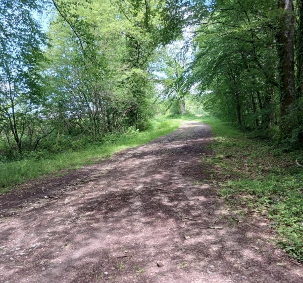 Tour d Aureil - Aureil - 1