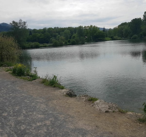 Balade entre Vouan, le lac du Môle et Fillinges - Fillinges - 1