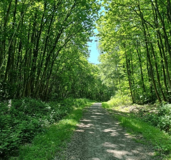 Forêt de Frémainville, Jambville et détour par Avernes - Frémainville - 1