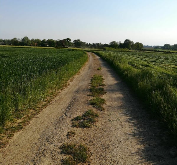 Le chemin du puit des Templiers - Foufflin-Ricametz - 1