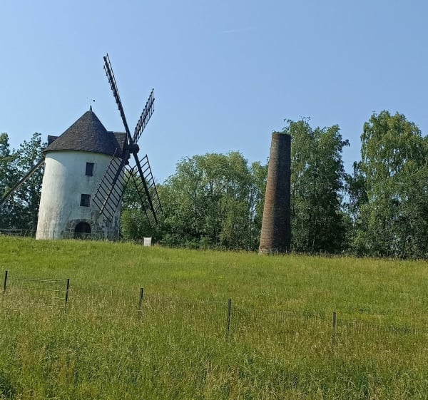 Balade dans la forêt de Ferrières - Presles-en-Brie - 1
