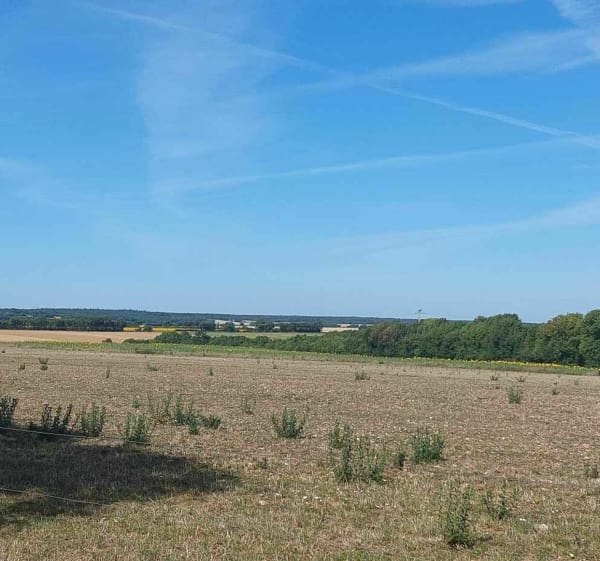 Balade de Paizay-le-Chapt par Semoussais - Paizay-le-Chapt - 1