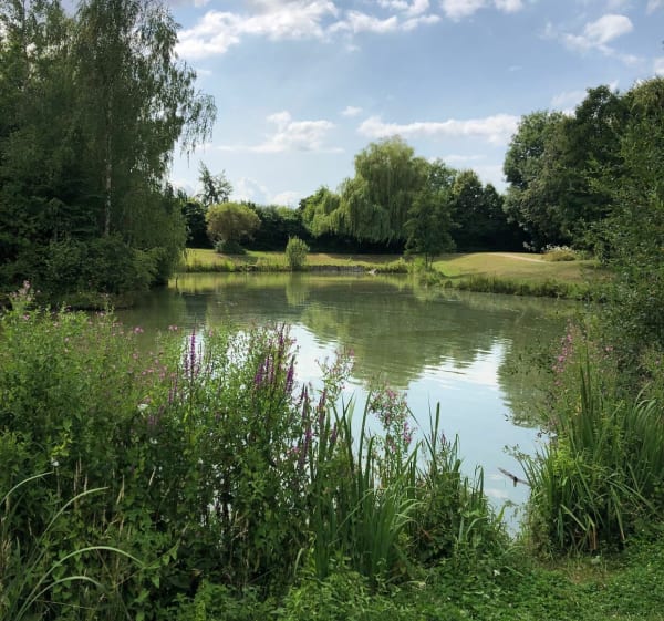 La Marque et les marais - Fretin - 1