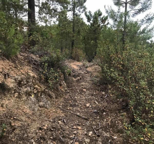 Boucle de Campoussy à VTT - Campoussy - 1