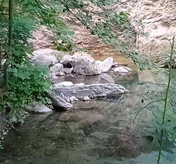 Petite balade le long de la Roya - Titouan - 1