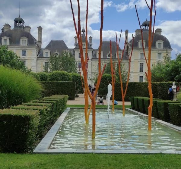 De Saint Bohaire à Cheverny - Saint-Bohaire - 1