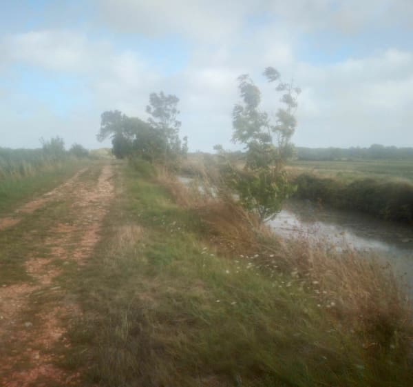 Belle randonnée à travers le Canal du Milieu depuis La Corba - La Tranche-sur-Mer - 1