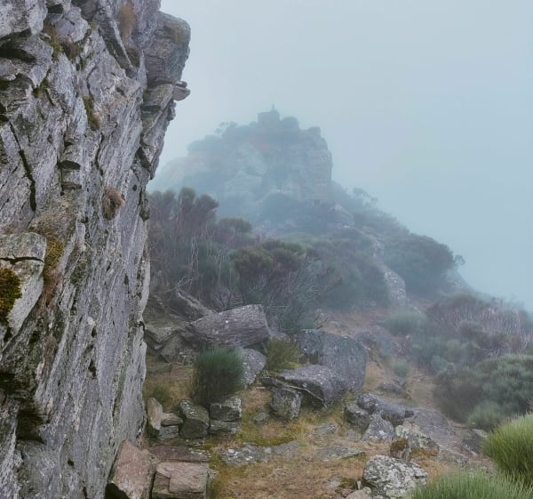 Portail de Roquandouire - Saint-Génies-de-Varensal - 1