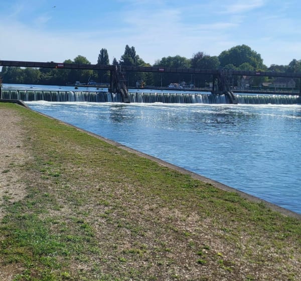 Petit circuit entre champs, forêt et bord de Seine à Vaux Le Pénil - Vaux-le-Pénil - 1
