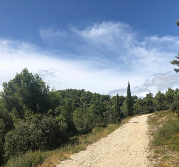 Chemin de la Caume - Saint-Rémy-de-Provence - 1