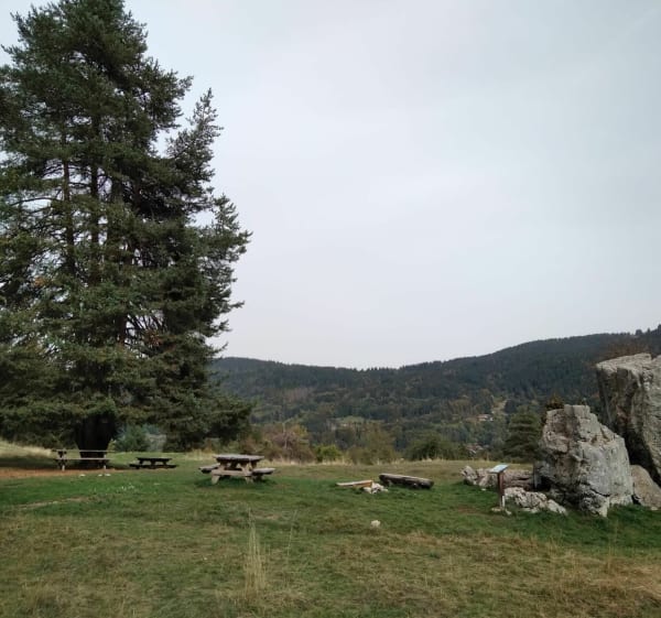 Tour des Communaux depuis la Frasse. - Arâches-la-Frasse - 1