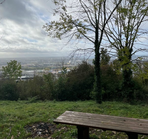 La campagne à la ville au Mont Saint Aignan - Mont-Saint-Aignan - 1