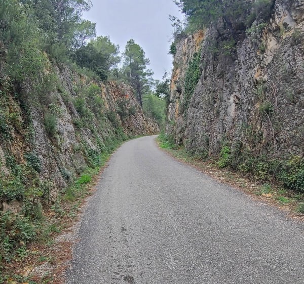 Sortie sur l'EV8 Lorgues Salerne - Lorgues - 1