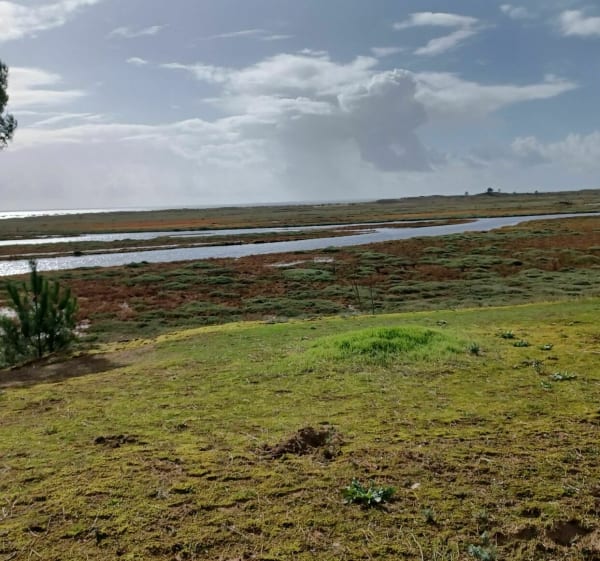 Belle sortie le long de la côte à La Faute-Sur-Mer - La Tranche-sur-Mer - 1