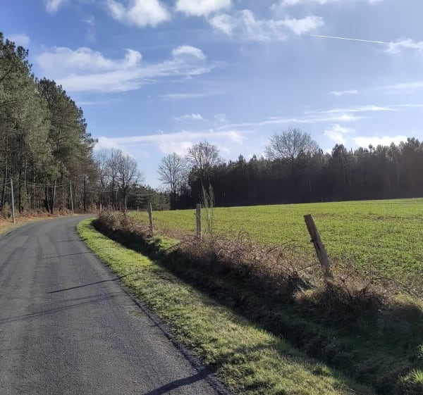 Boucle en campagne de Parigné, par les Sapins de la Saule, vers le sud-ouest - Parigné-l'Évêque - 1