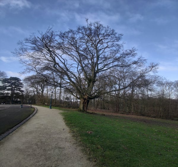 Parc du Gâtinais et Bois de la Chapelle Ste-Anne - Videlles - 1